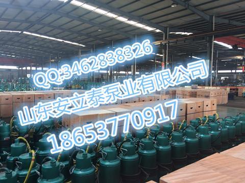 烟台安泰BQS矿用防爆潜水泵中国兴防爆排污泵FQW
