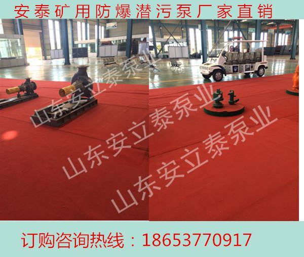 上海wqb矿用防爆排污泵厂家 耐磨不锈钢污水泵