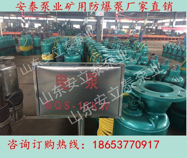 杭州BQS潜污泵水泵批发 不堵塞排污泵型号