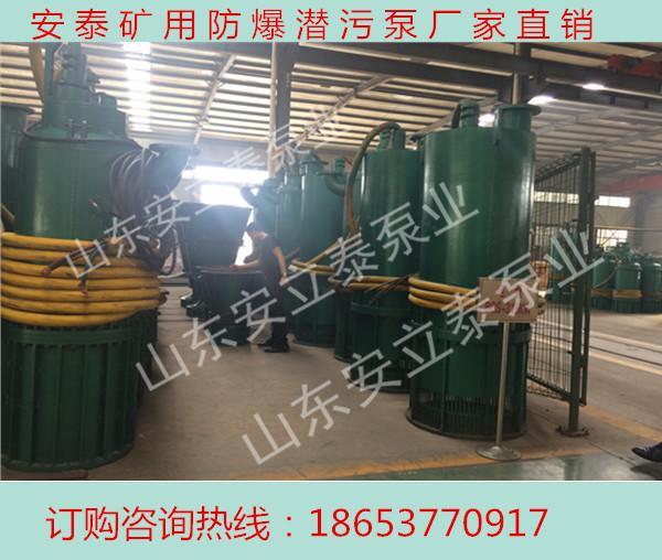 北京矿用防爆潜水泵 WQB排污泵型号 不锈钢耐磨泵直销