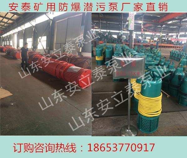 杭州wqb防爆排污泵厂家 潜污泵价格 水泵厂