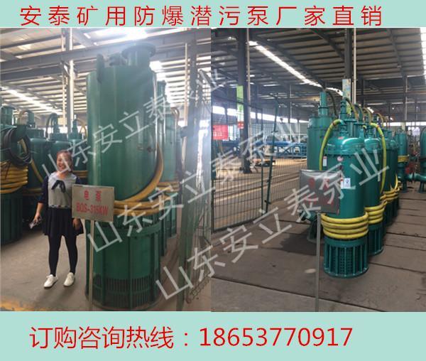 北京wqb排污泵 防爆污水泵厂家 不锈钢